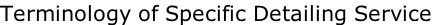 Terminology of Specific Detailing Service